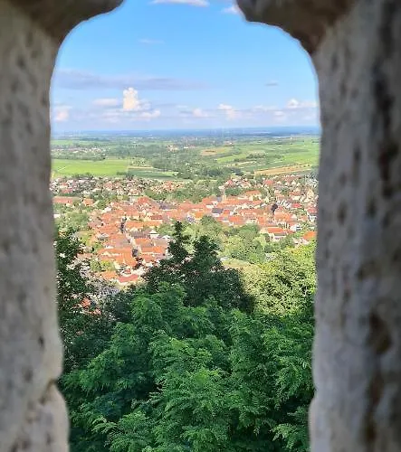 Weinhof Pfeffer * Klingenmünster