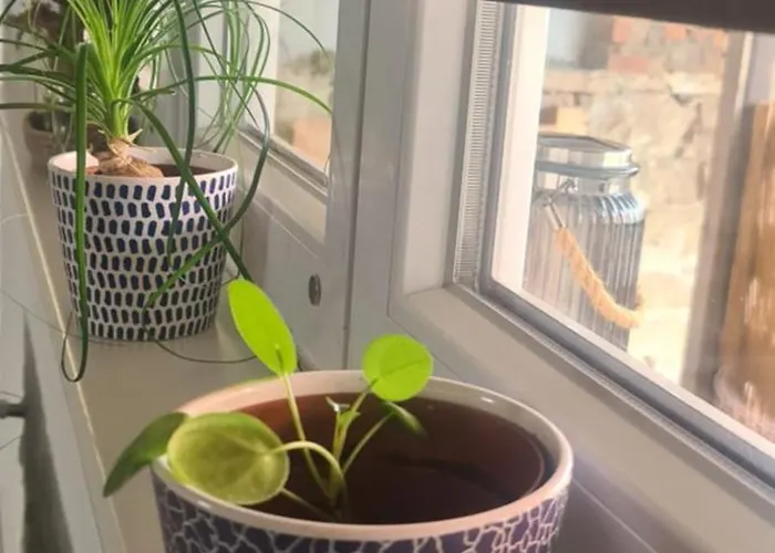 Apartament Weinhof Pfeffer *